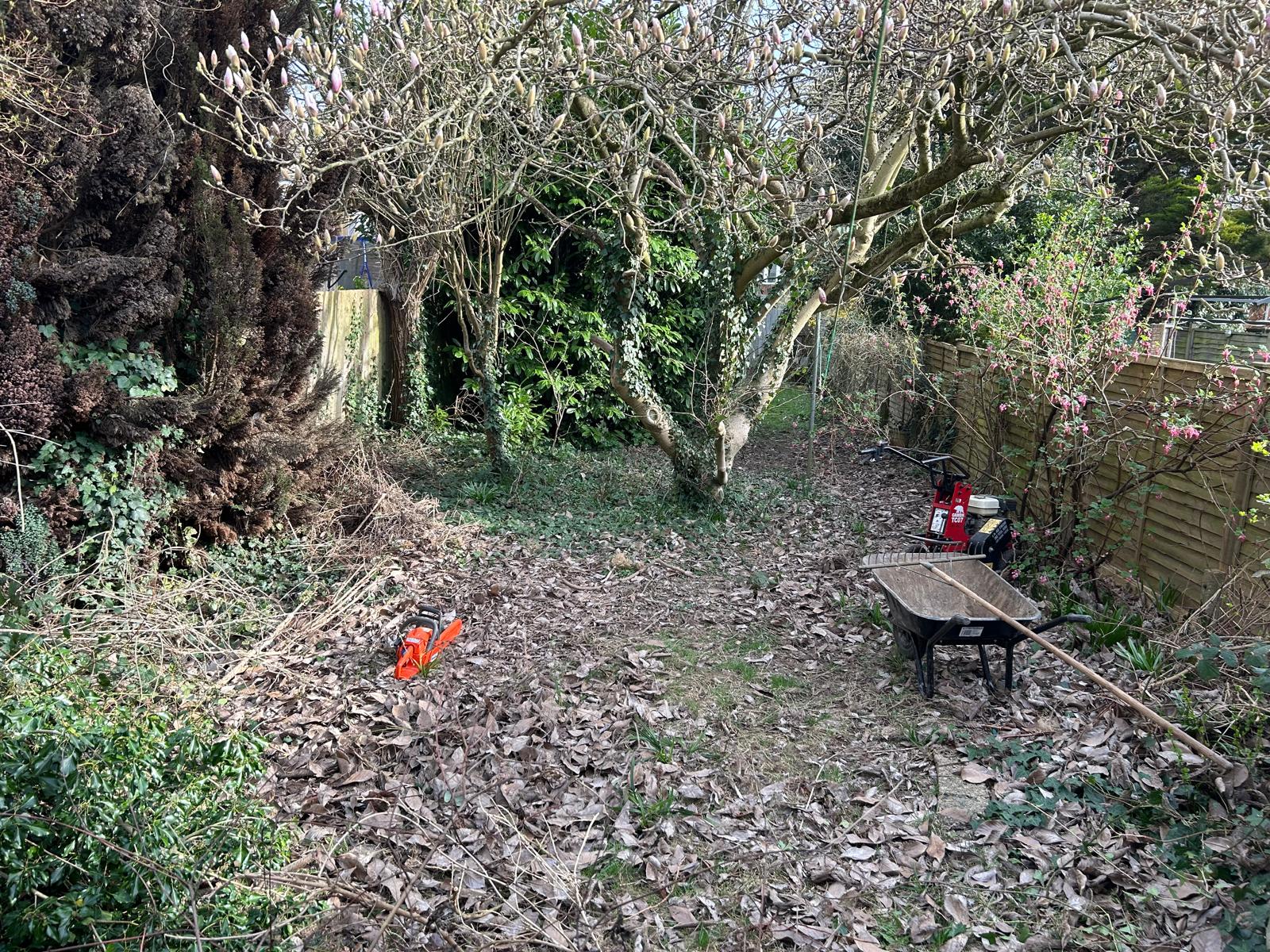 Professional outdoor space landscaping services